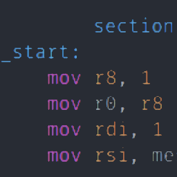 x8664assembly (.S)